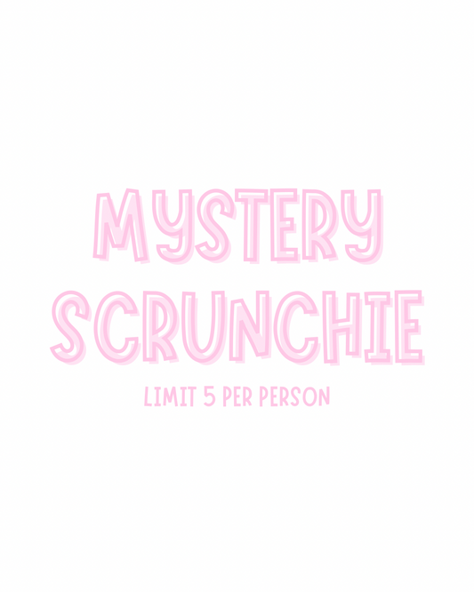MYSTERY Scrunchie [LIMIT 5]